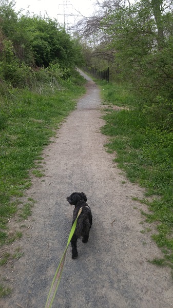 Truffles on the Washington and Old Dominion Trail Pet Friendly Walking Trail