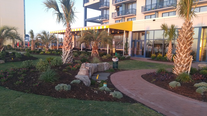 Hyatt House Virginia Beach dog walking area