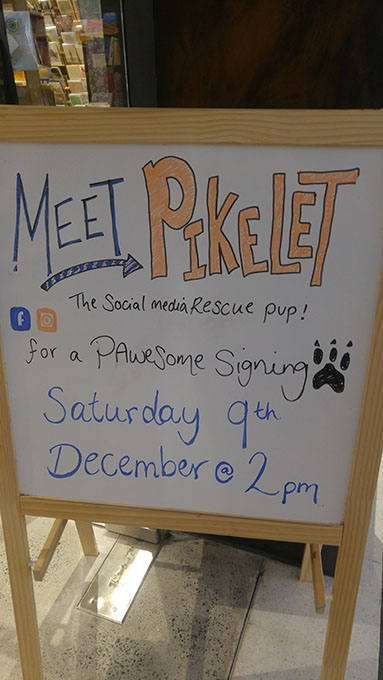 Pikelet pawtographing sign outside Harry Hartog