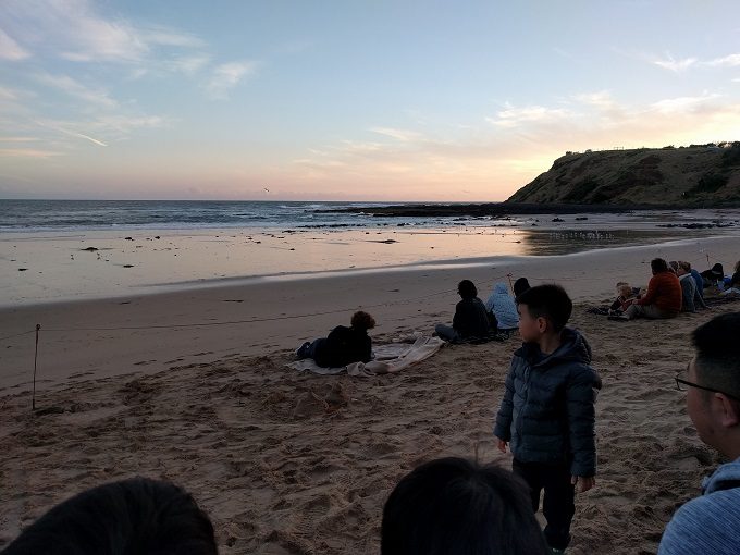 At the beach before the Phillip Island penguin parade