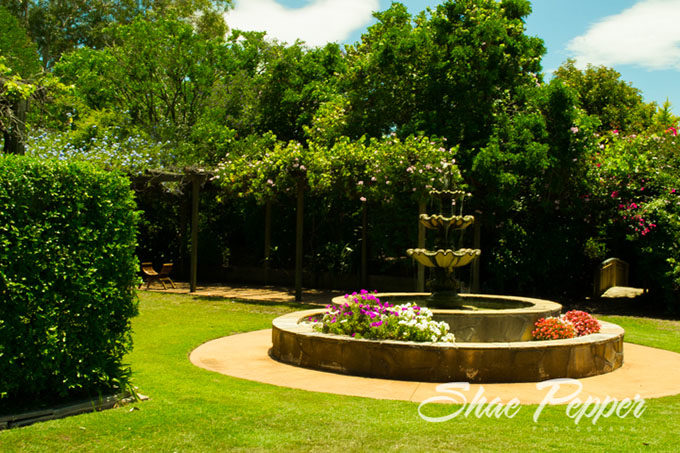 Fountain at Gemelli Estate, Hunter Valley