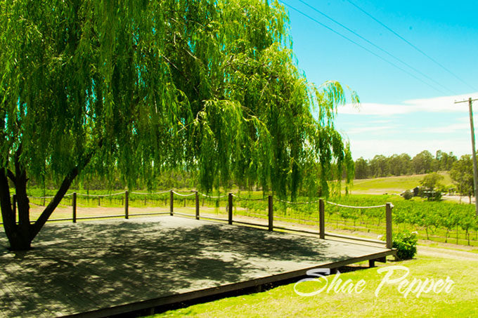 Gemelli Estate, Hunter Valley