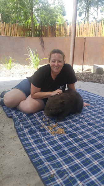 Petting Gem the wombat