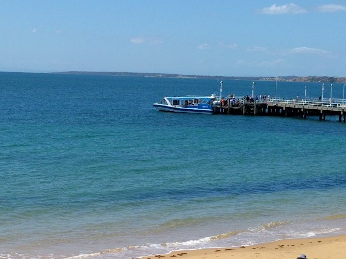 Phillip Island boat for the seal tour