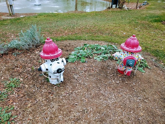Irmo Community Park fire hydrants