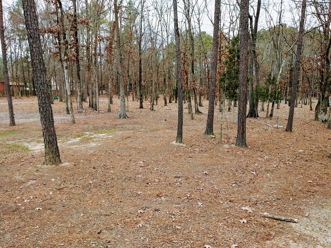 Irmo Community Park trees