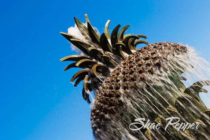 Pineapple Fountain, Charleston SC