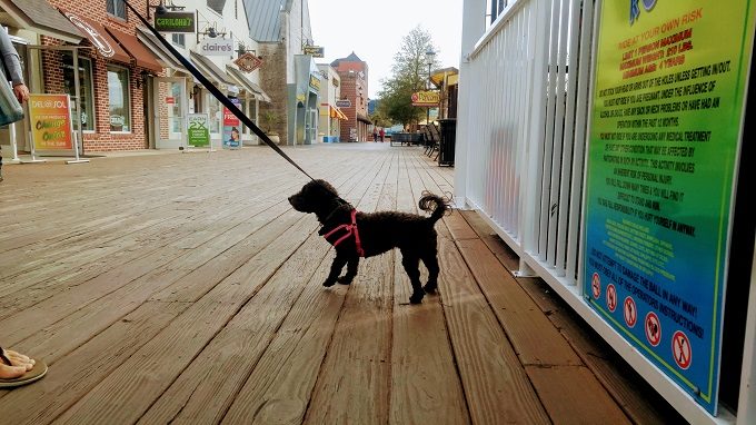 Broadway At The Beach