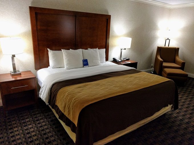 Comfort Inn Greenville SC - King bed