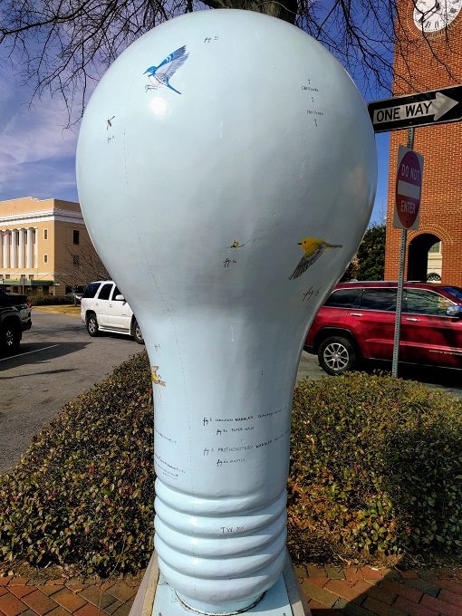 Lighten Up Spartanburg Ghost Bird by Torey Wahlstrom