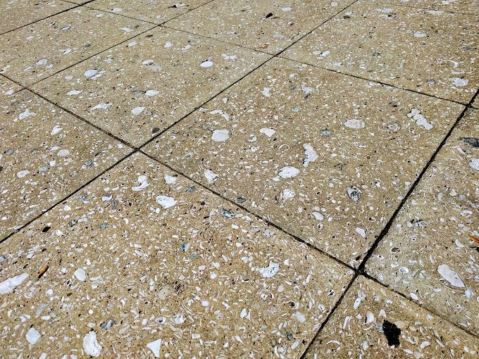 Shells in the walkway in Beaufort SC