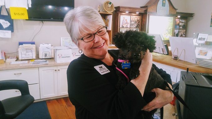 Truffles checking out the Beaufort Visitor Center