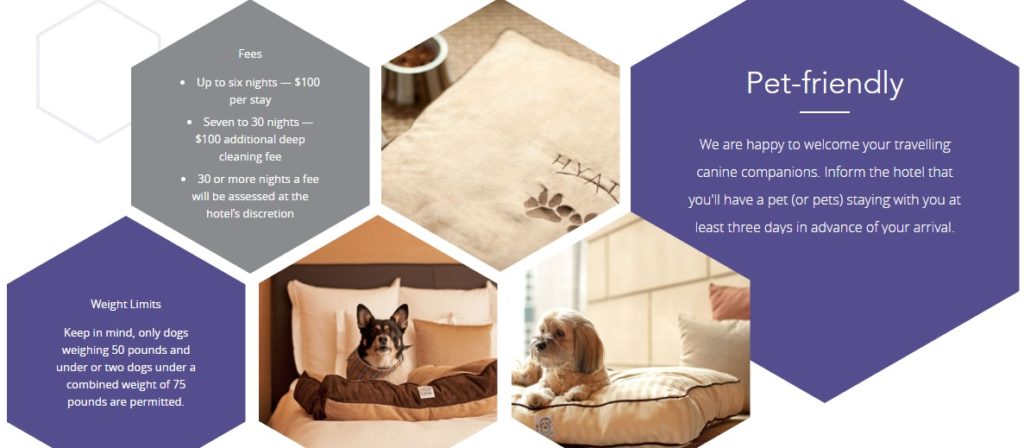 How To Find Each Hotel's Pet Policy - No Home Just Roam