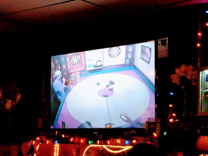 Turtle Racing At Big Joe's, Chicago - A turtle race on the big screen