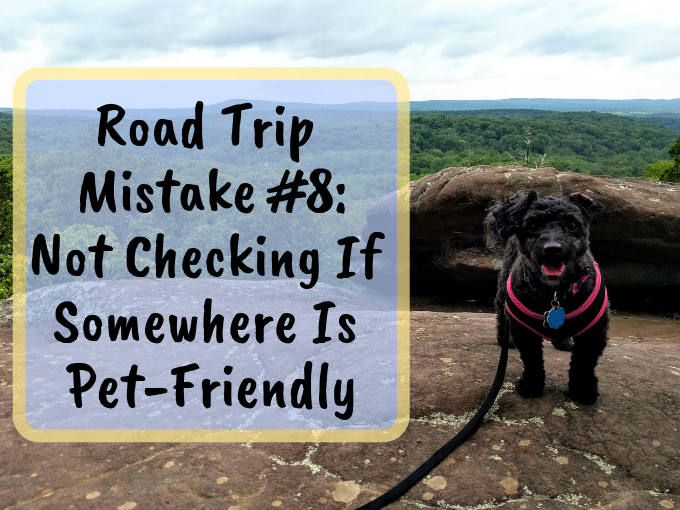 Road Trip Mistake #8 Not Checking If Somewhere Is Pet-Friendly