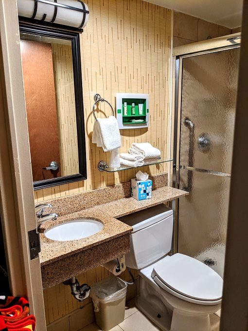 Holiday Inn Manhattan 6th Ave-Chelsea - Toilet & vanity