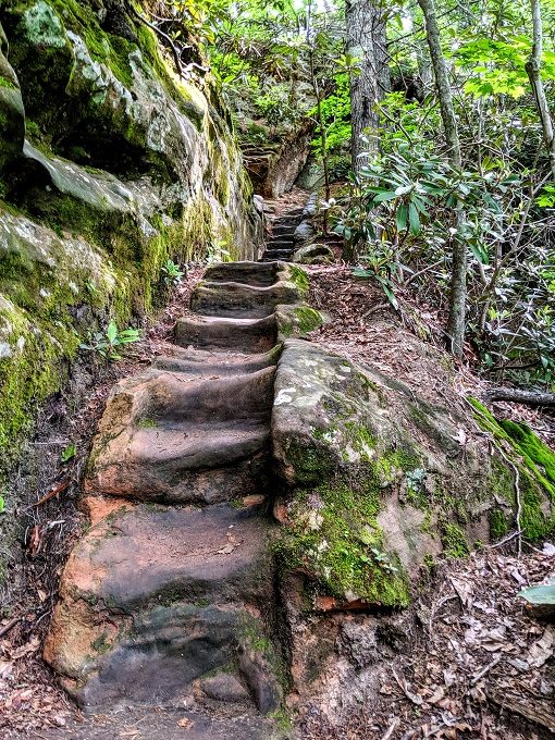 A steep staircase on the Low Gap Trail at Natural Bridge State Resort Park in Kentucky