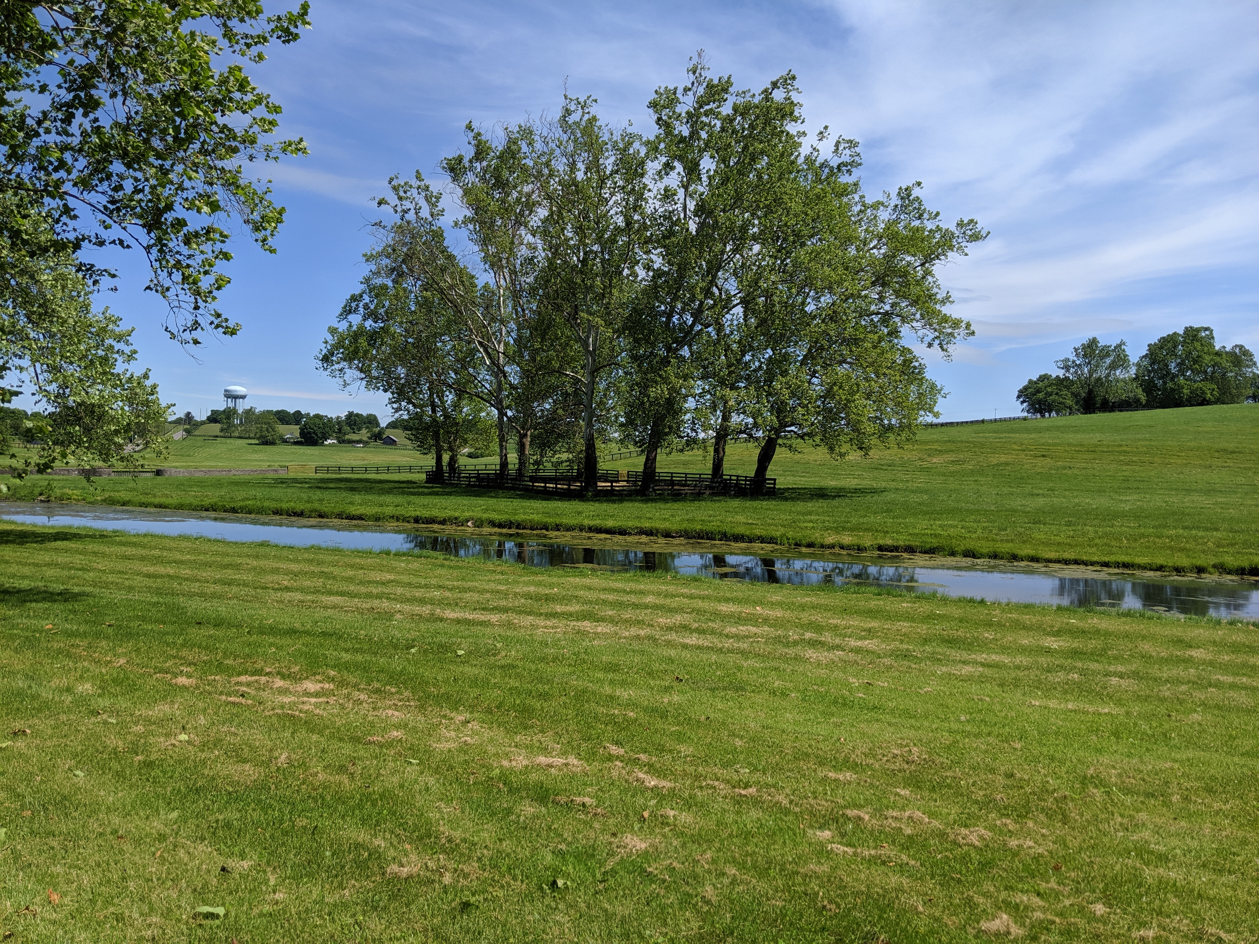 Paddocks At Claiborne Farm Paris, KY (3) - No Home Just Roam