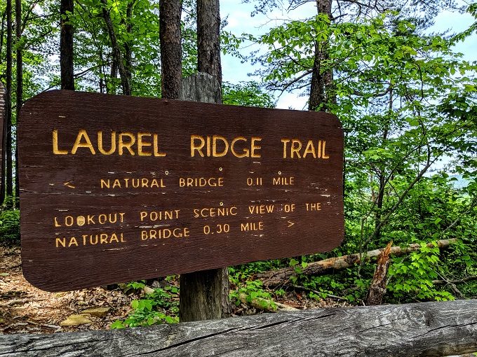 Start of Laurel Ridge Trail at Natural Bridge State Resort Park in Kentucky