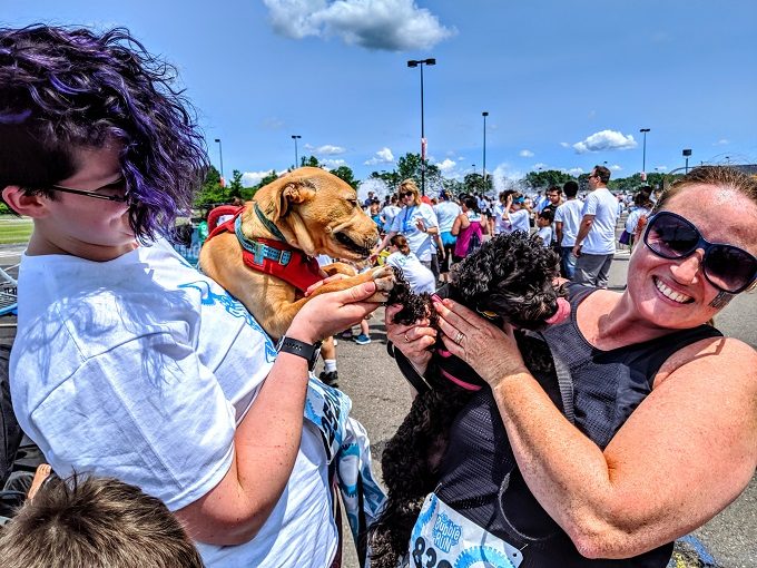 2019 Hartford Bubble Run - Truffles & Winnie hi-pawing