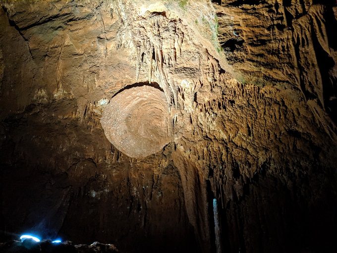 Grand Caverns, Virginia - Sideways-growing shield