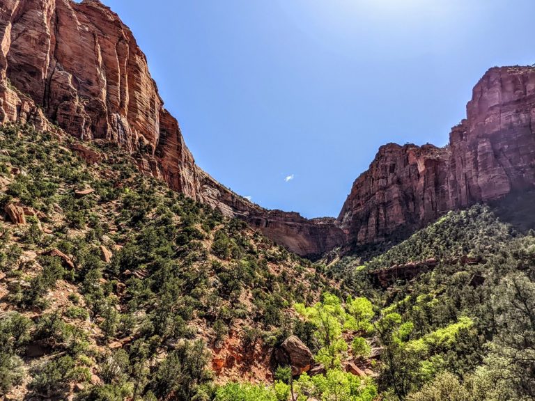 Drive Through Zion National Park 5 No Home Just Roam