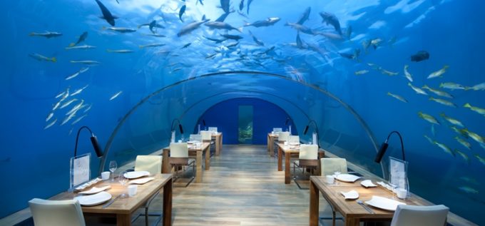Conrad Maldives Underwater Restaurant