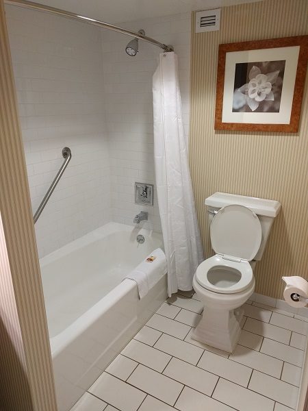 Sheraton Roanoke bathroom
