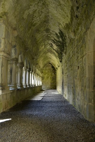 9 - Quin Abbey cloisters