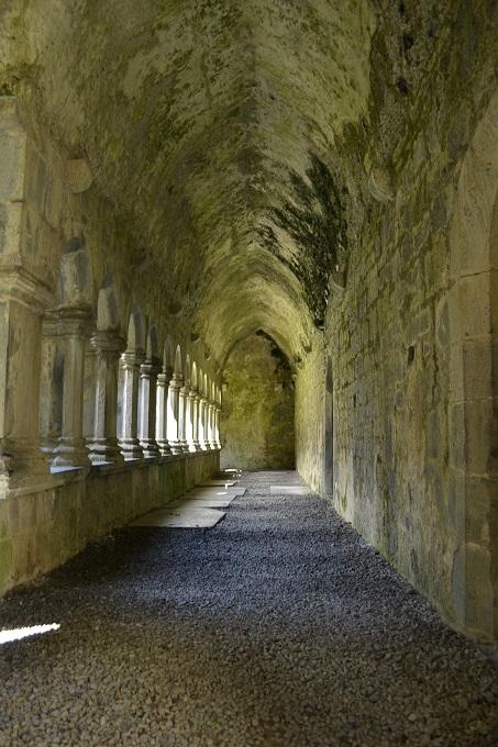 Quin Abbey In 30 Photos - No Home Just Roam