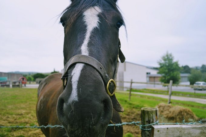 One of our neigh-bors