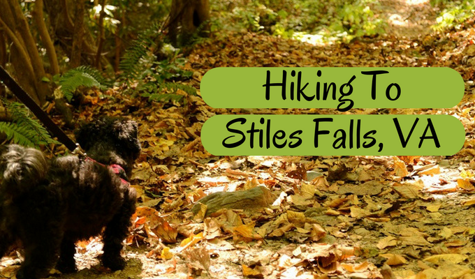 Hiking To Stiles Falls, VA
