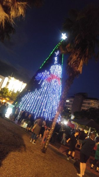 Hamilton NZ Christmas Tree