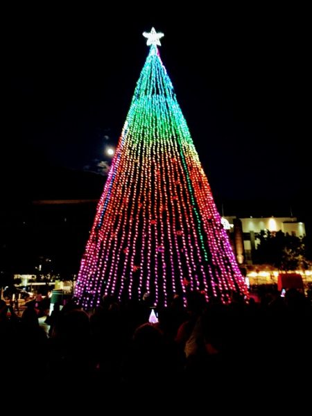Hamilton NZ Christmas Tree lighting