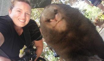 Wombat selfie!