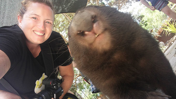 Wombat selfie!