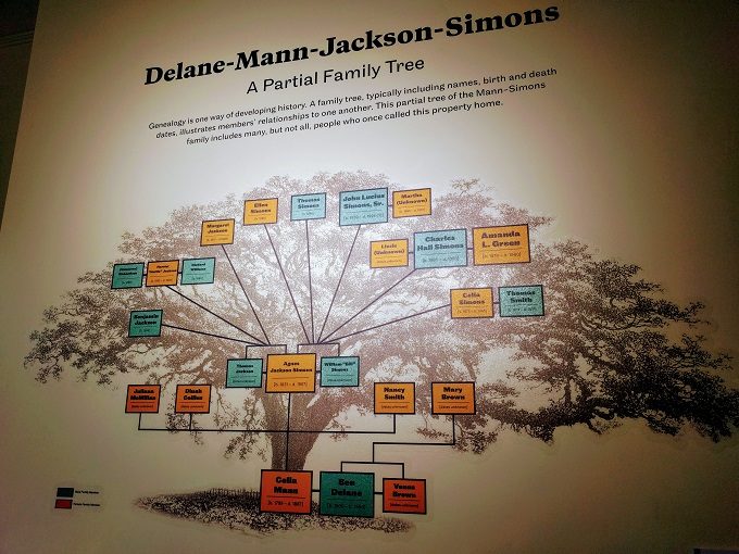 Delane-Mann-Jackson-Simons Family tree