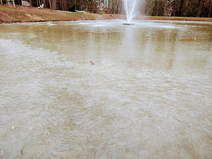 Irmo Community Park's semi-frozen pond