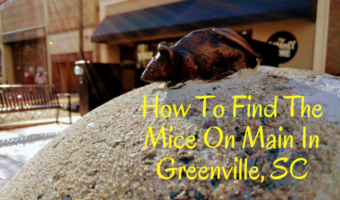 How To Find The Mice On Main In Greenville, SC