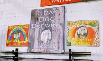Enterprise, AL St Patrick's Day Homebrew Competition - Gray Dog Brewing's beers