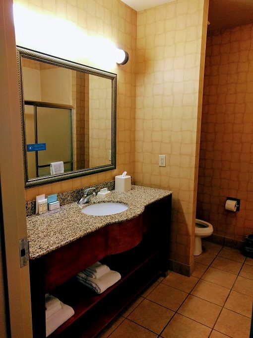 Hampton Inn Enterprise AL - Bathroom