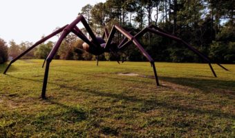 Giant spider, Elberta Alabama
