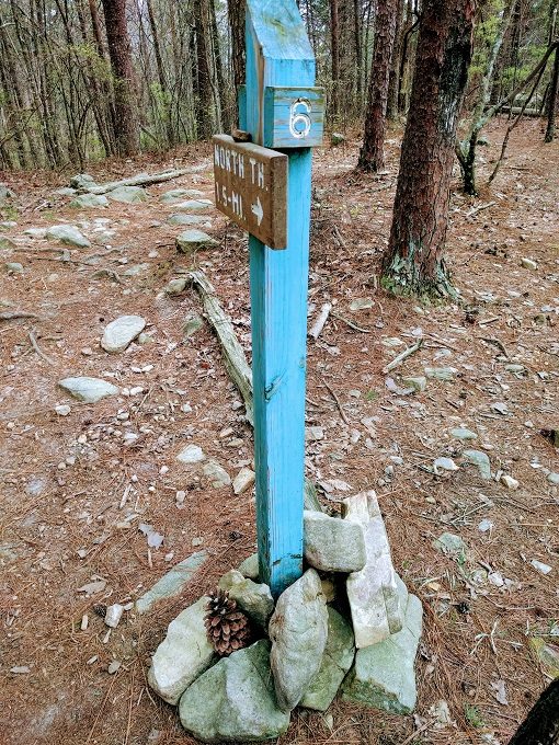 King's Chair, Oak Mountain State Park 16 Plenty of route markers