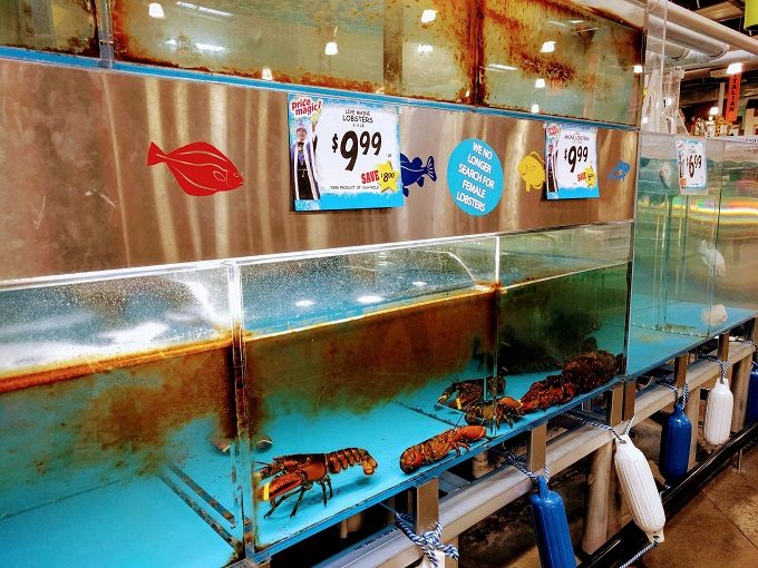 Jungle Jim's International Market 20 Fresh lobster
