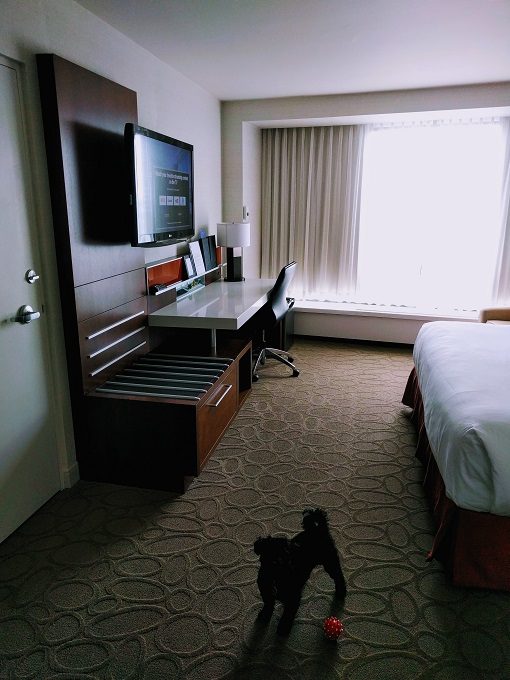 Delta Hotels Ottawa City Centre - Bedroom