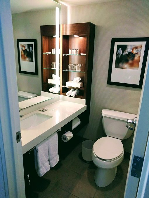 Delta Hotels Ottawa City Centre - Sink & toilet