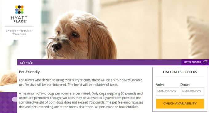 Hyatt Place Pet Policy Pricing