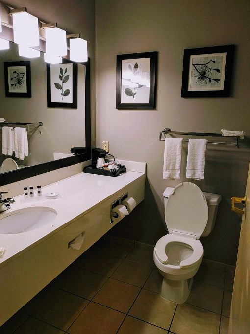 Country Inn & Suites Manteno IL - Sink & toilet