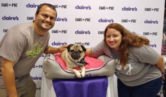 Doug the Pug at Claire's (22)