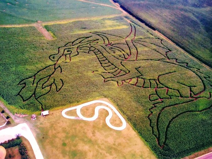 Hardy's Reindeer Ranch, Rantoul IL - Dragon corn maze design